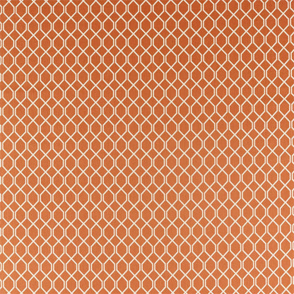 Botanic Trellis Fabric by Sanderson - DLNC236791 - Papaya