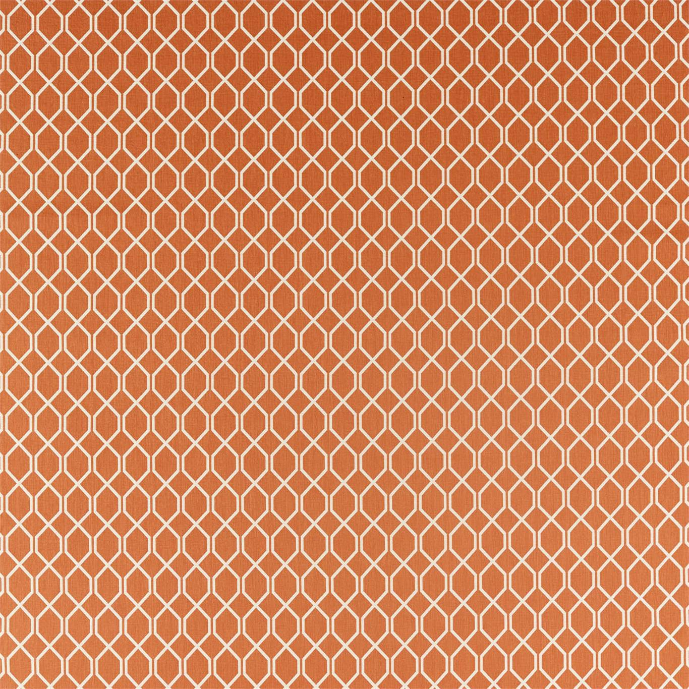 Botanic Trellis Fabric by Sanderson - DLNC236791 - Papaya