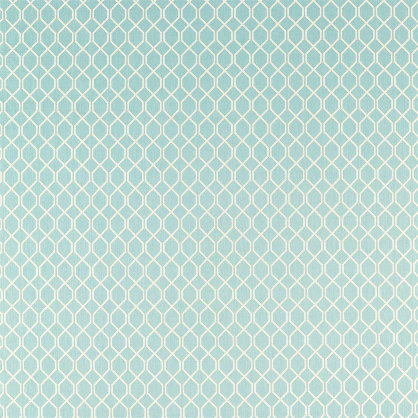 Botanic Trellis Fabric by Sanderson - DLNC236792 - Blue Clay