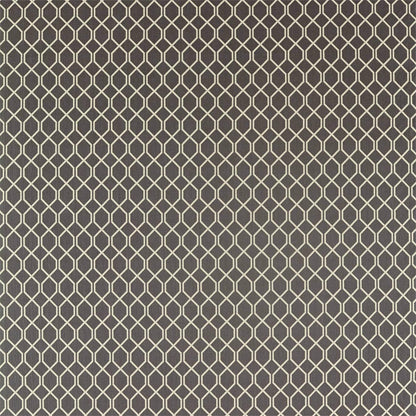 Botanic Trellis Fabric by Sanderson - DLNC236793 - Flint