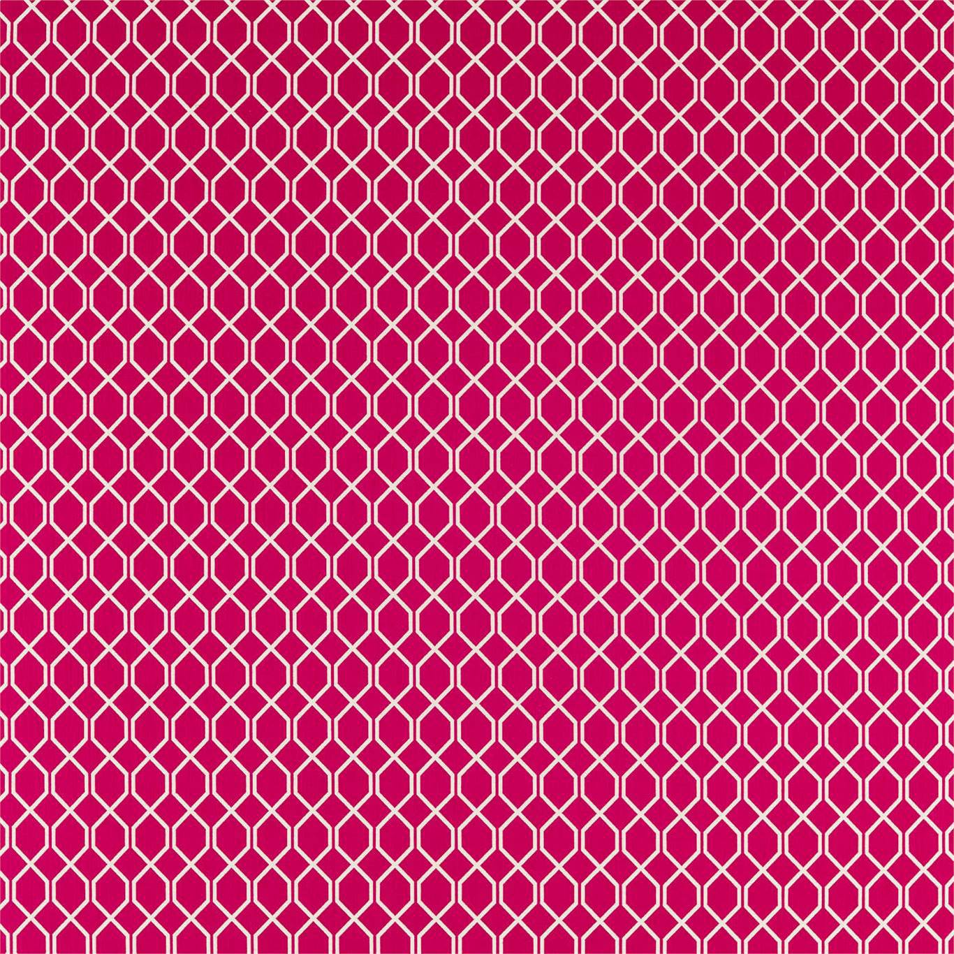 Botanic Trellis Fabric by Sanderson - DLNC236795 - Rhodera