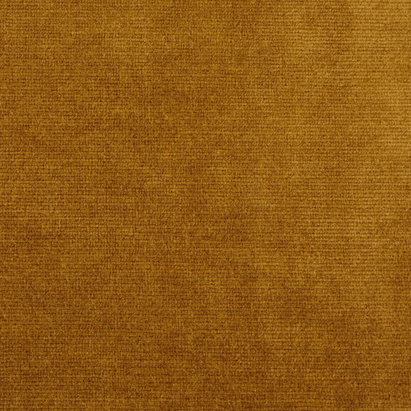 Boho Velvets Fabric by Sanderson - DVLV235274 - Old Gold