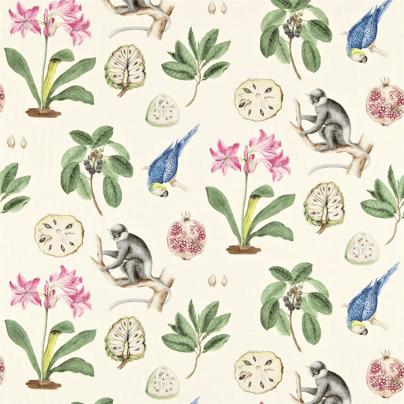 Capuchins Fabric by Sanderson - DVOY223273 - Chintz