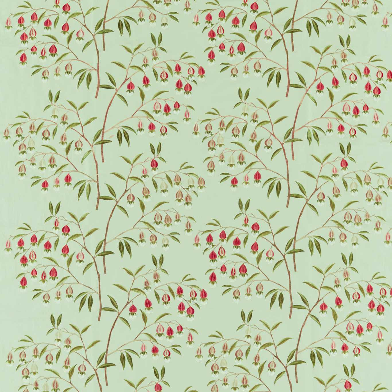 Chinese Lantern Fabric by Sanderson - DWAT237270 - Mint & Apricot