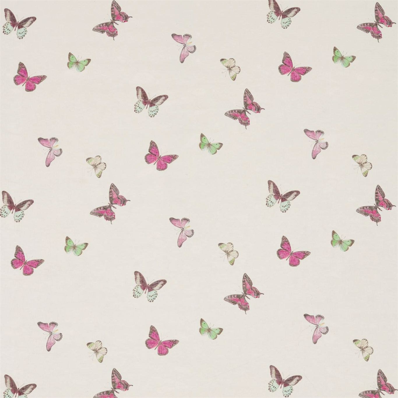 Butterfly Voile Fabric by Sanderson - DWOW225512 - Fuchsia/Cream