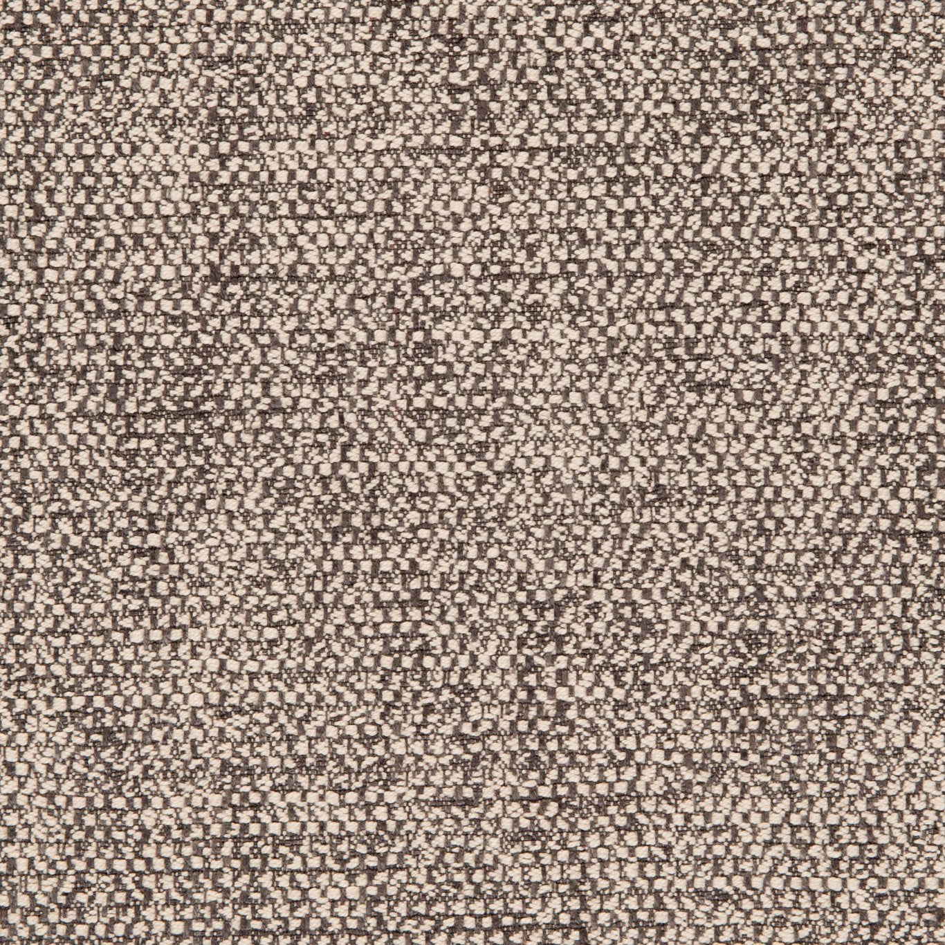 Angus Fabric by Clarke & Clarke - F0581/01 - Charcoal