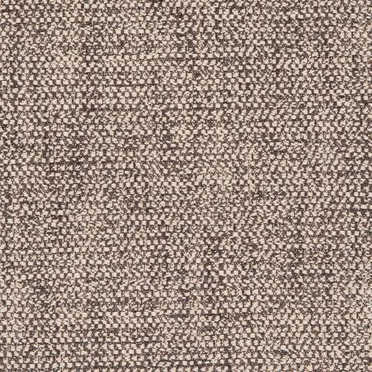 Angus Fabric by Clarke & Clarke - F0581/01 - Charcoal