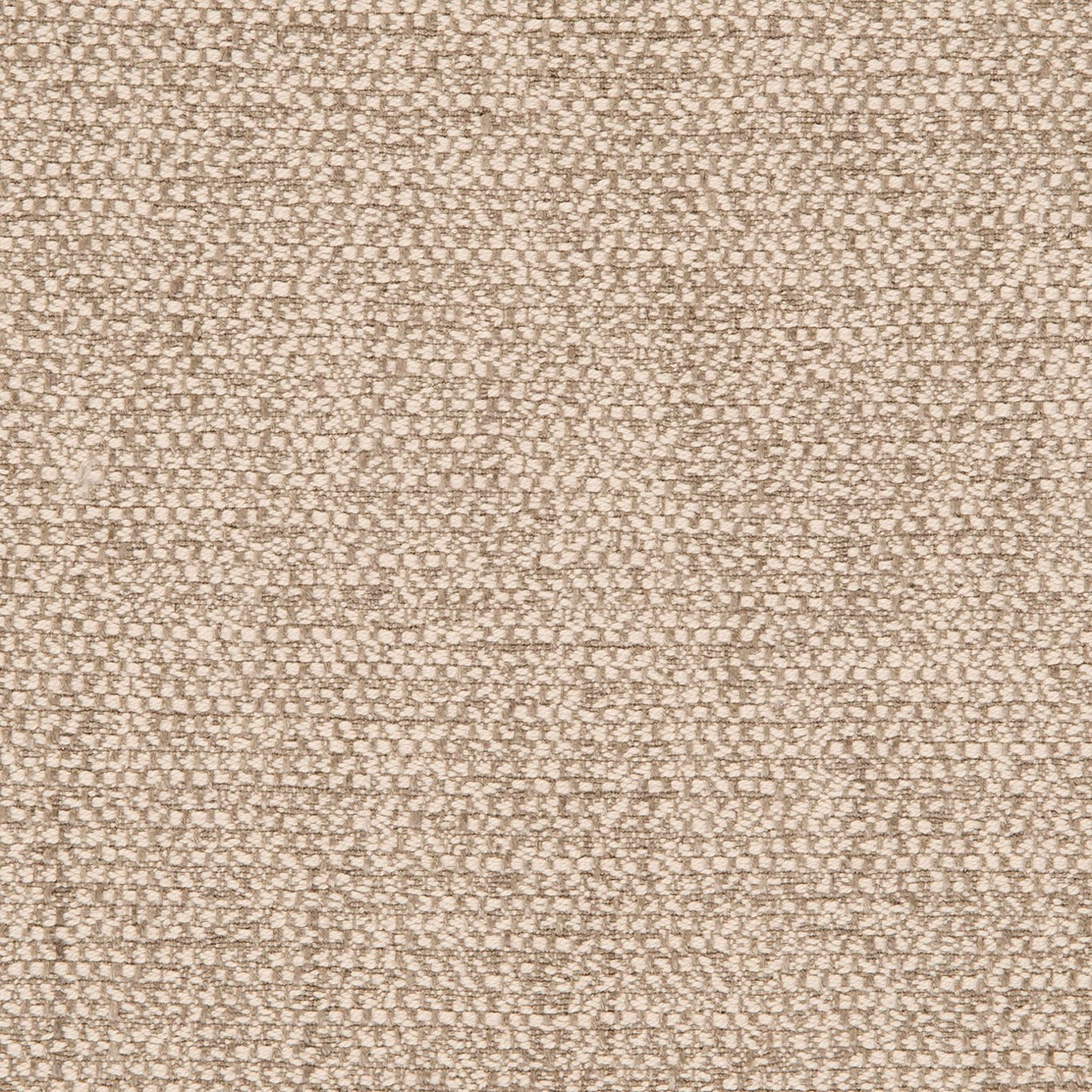 Angus Fabric by Clarke & Clarke - F0581/05 - Taupe