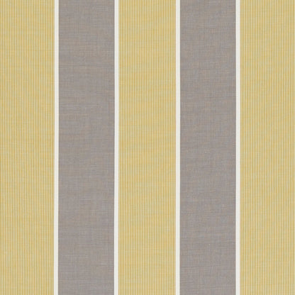 Chatburn Fabric by Clarke & Clarke - F0597/01 - Citrus