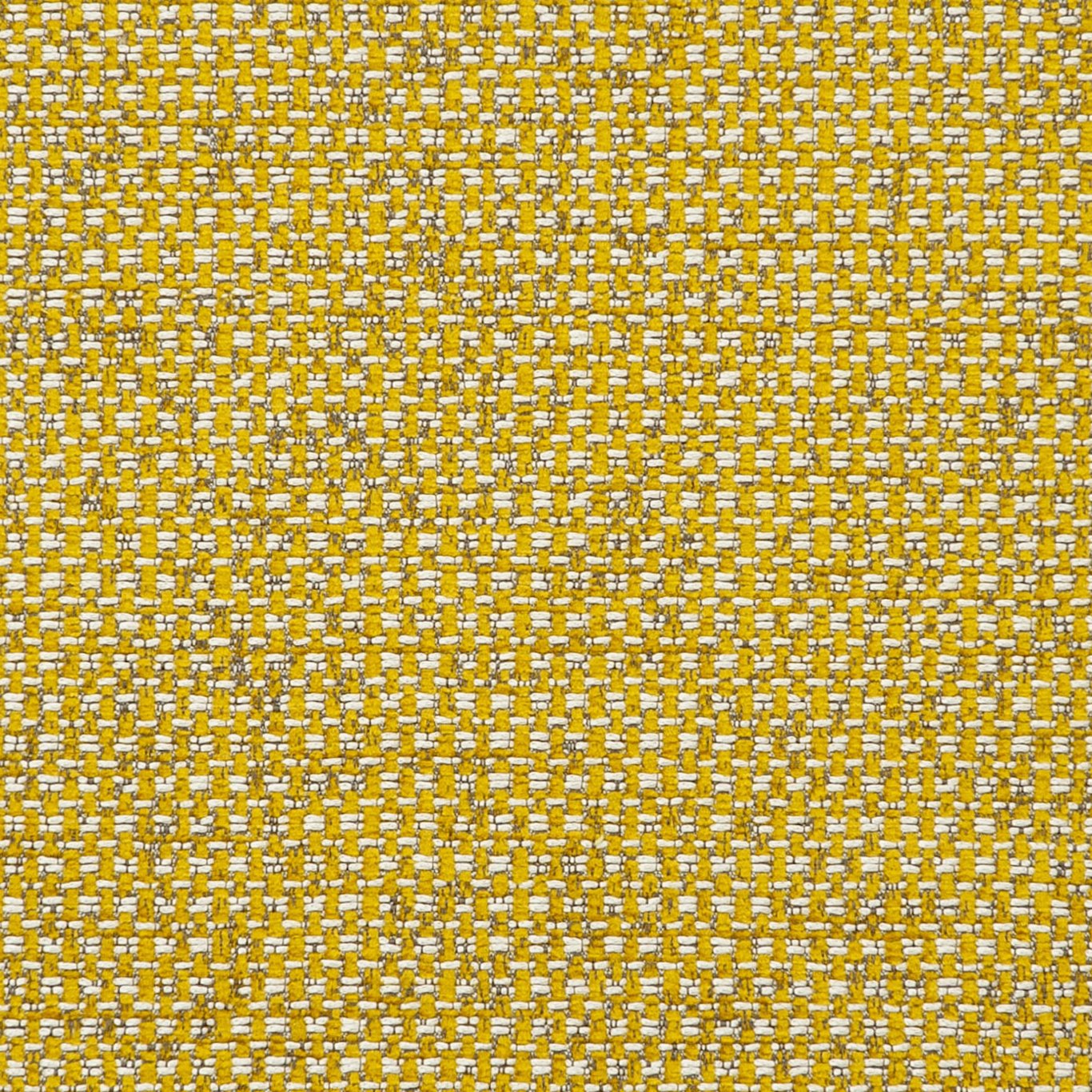 Casanova Fabric by Clarke & Clarke - F0723/05 - Chartreuse