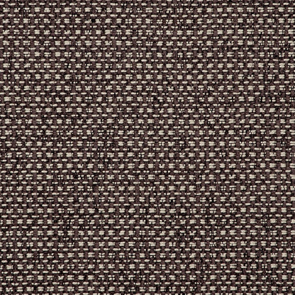 Casanova Fabric by Clarke & Clarke - F0723/09 - Espresso