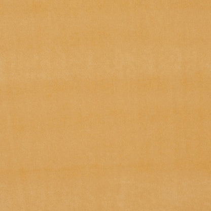Alvar Fabric by Clarke & Clarke - F0753/39 - Gold
