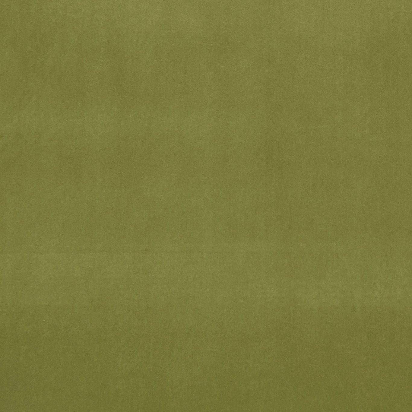 Alvar Fabric by Clarke & Clarke - F0753/77 - Leaf