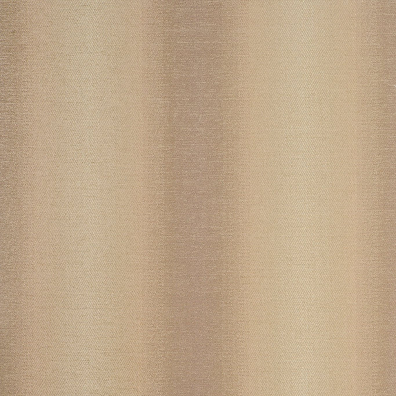 Antico Fabric by Clarke & Clarke - F0789/05 - Natural