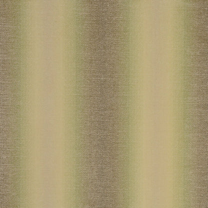 Antico Fabric by Clarke & Clarke - F0789/06 - Olive