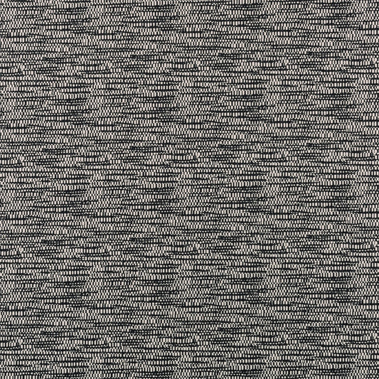 Bw1001 Fabric by Clarke & Clarke - F0873/01 - Black/White