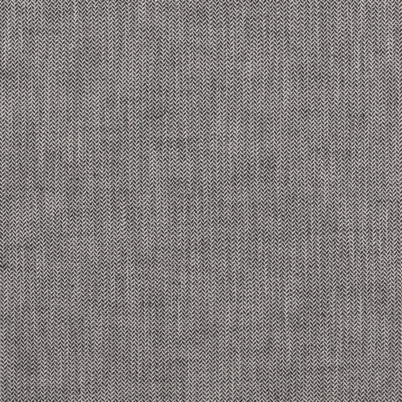 Bw1003 Fabric by Clarke & Clarke - F0875/01 - Black/White