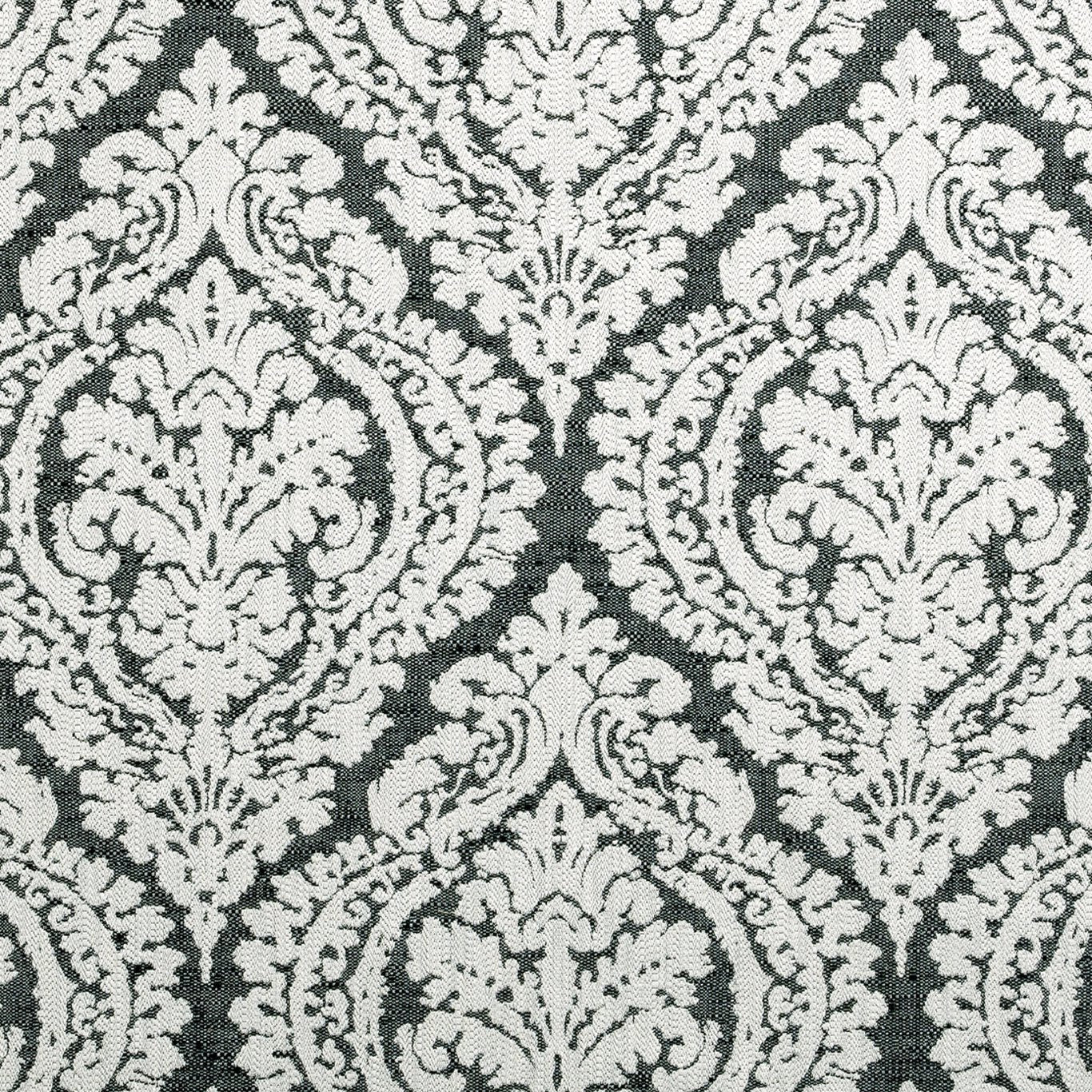 Bw1004 Fabric by Clarke & Clarke - F0876/01 - Black/White