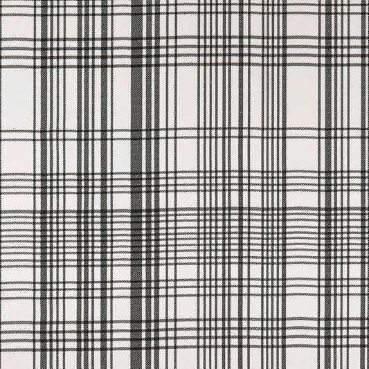Bw1006 Fabric by Clarke & Clarke - F0878/01 - Black/White