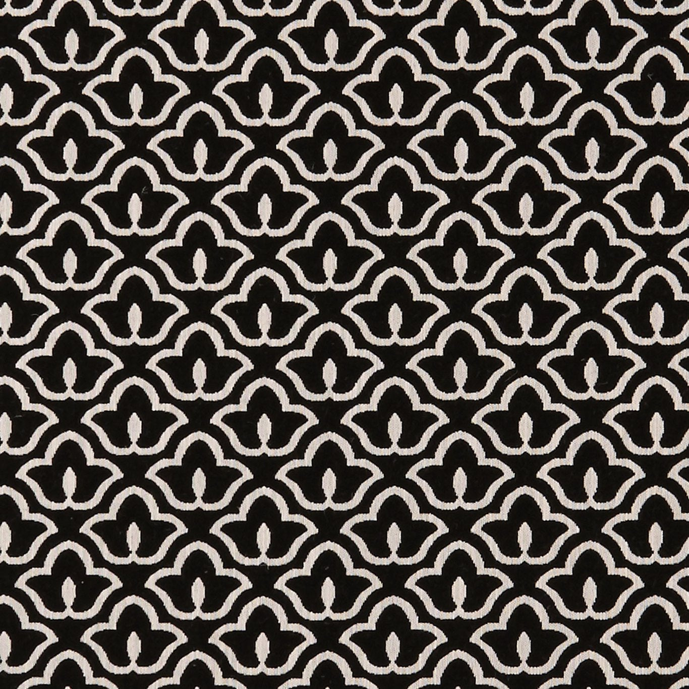Bw1014 Fabric by Clarke & Clarke - F0887/01 - Black/White