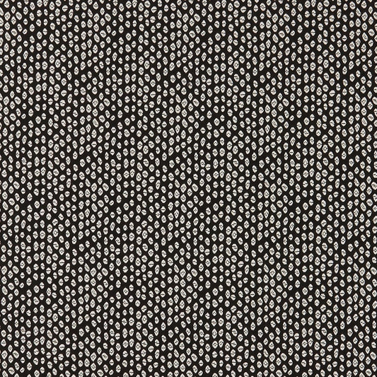 Bw1015 Fabric by Clarke & Clarke - F0888/01 - Black/White