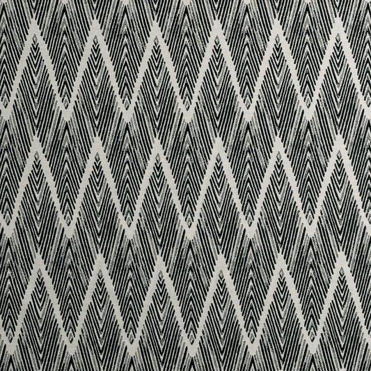 Bw1022 Fabric by Clarke & Clarke - F0895/01 - Black/White