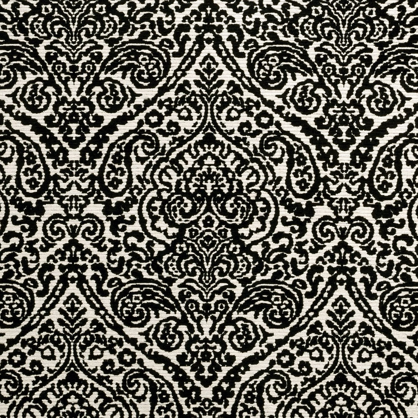 Bw1023 Fabric by Clarke & Clarke - F0896/01 - Black/White