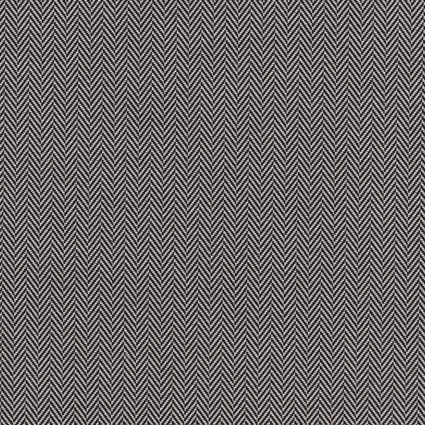 Bw1026 Fabric by Clarke & Clarke - F0899/01 - Black/White