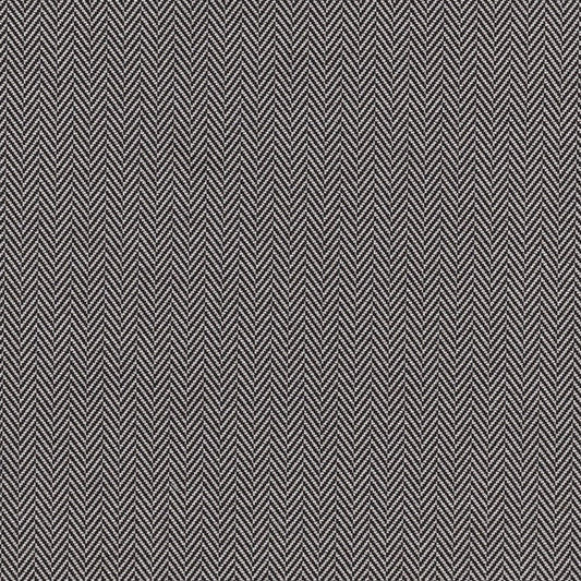 Bw1026 Fabric by Clarke & Clarke - F0899/01 - Black/White