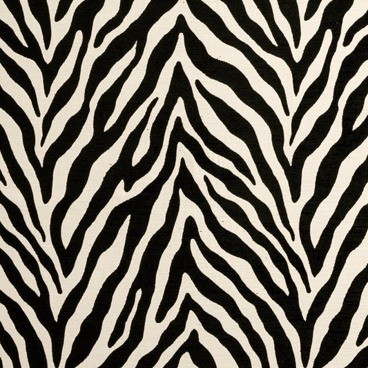Bw1029 Fabric by Clarke & Clarke - F0902/01 - Black/White