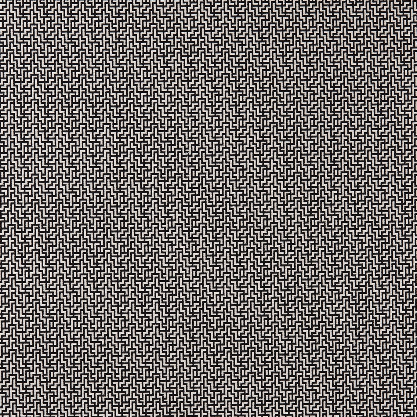 Bw1030 Fabric by Clarke & Clarke - F0903/01 - Black/White