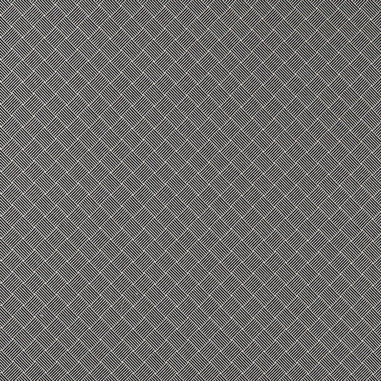 Bw1031 Fabric by Clarke & Clarke - F0904/01 - Black/White