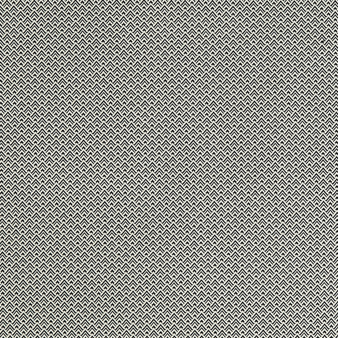 Bw1032 Fabric by Clarke & Clarke - F0905/01 - Black/White