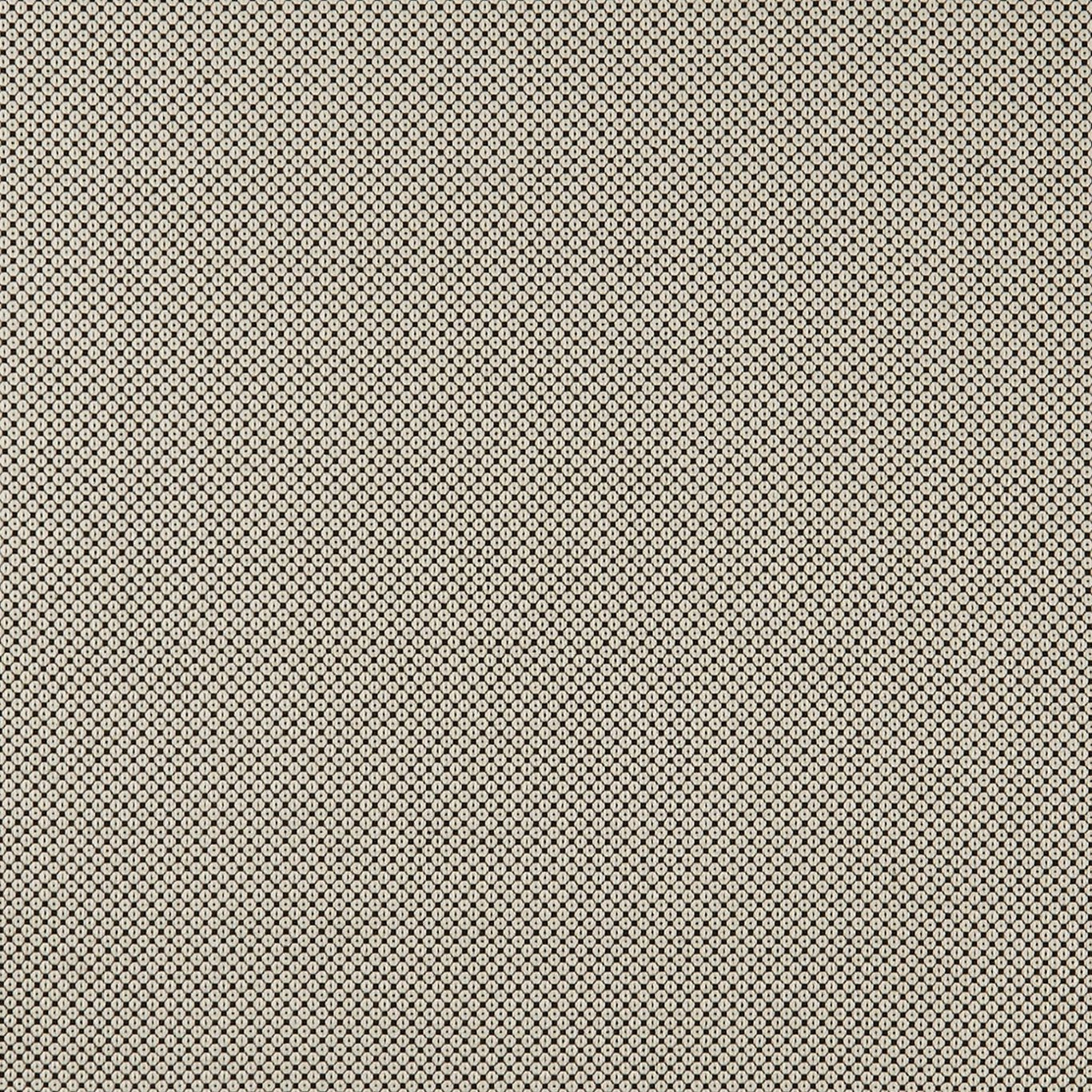 Bw1033 Fabric by Clarke & Clarke - F0906/01 - Black/White