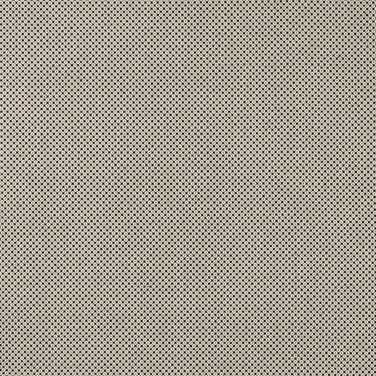 Bw1033 Fabric by Clarke & Clarke - F0906/01 - Black/White