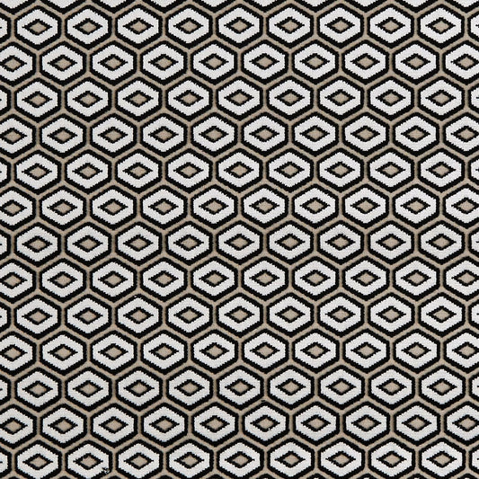 Bw1041 Fabric by Clarke & Clarke - F0943/01 - Black/White