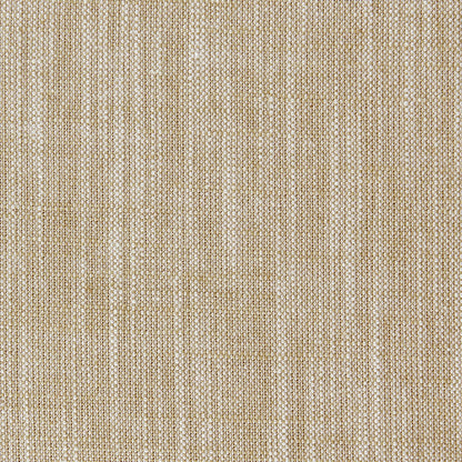 Biarritz Fabric by Clarke & Clarke - F0965/04 - Bamboo