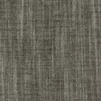 Biarritz Fabric by Clarke & Clarke - F0965/09 - Charcoal
