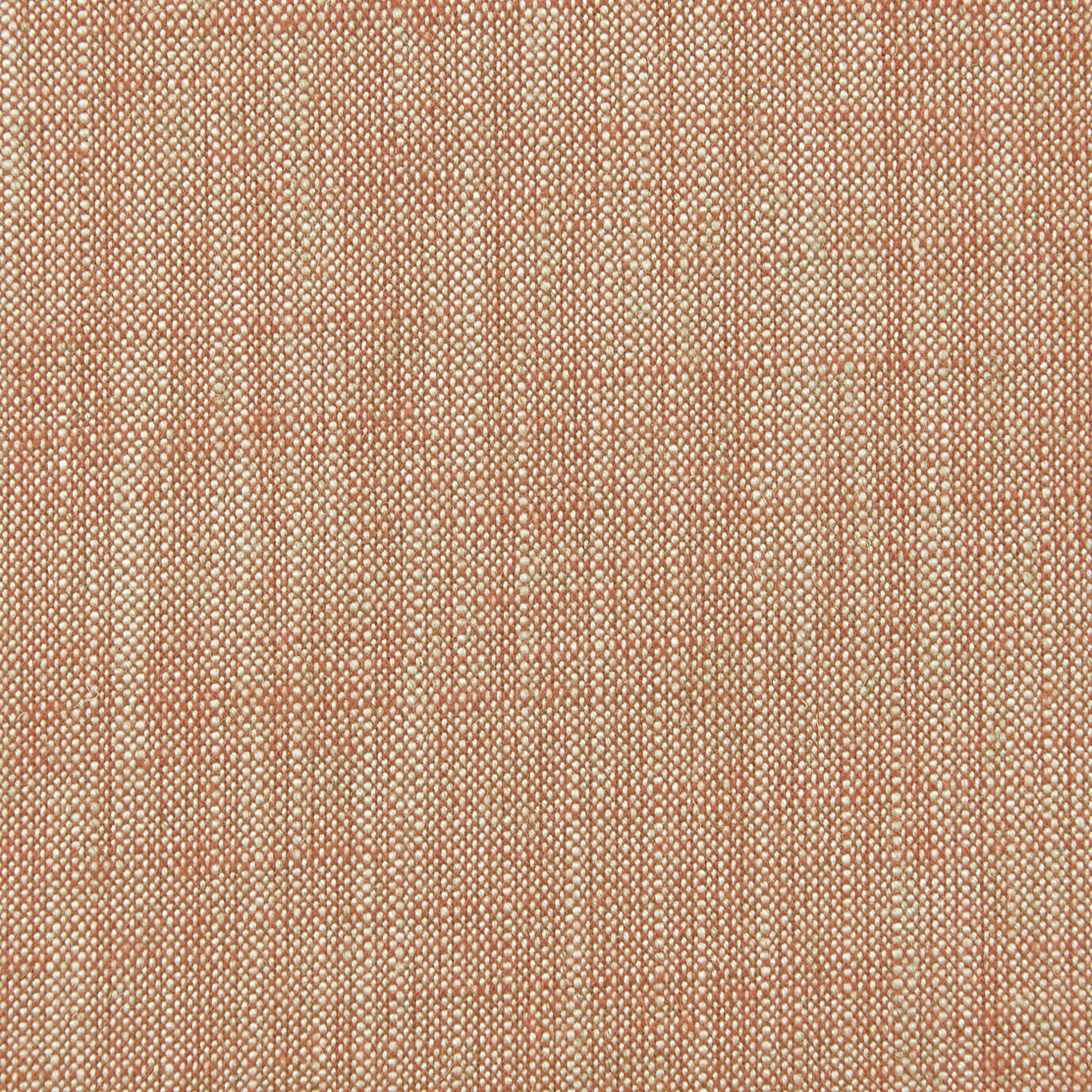 Biarritz Fabric by Clarke & Clarke - F0965/10 - Cinnamon
