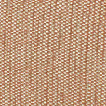 Biarritz Fabric by Clarke & Clarke - F0965/10 - Cinnamon