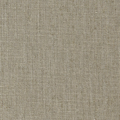 Biarritz Fabric by Clarke & Clarke - F0965/27 - Linen