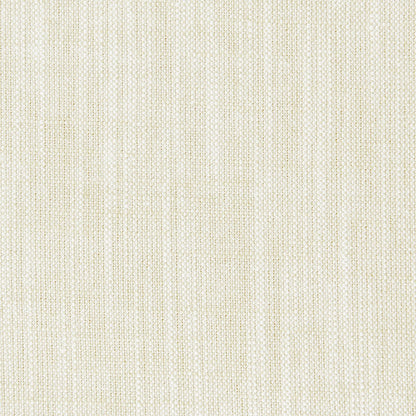 Biarritz Fabric by Clarke & Clarke - F0965/34 - Oyster