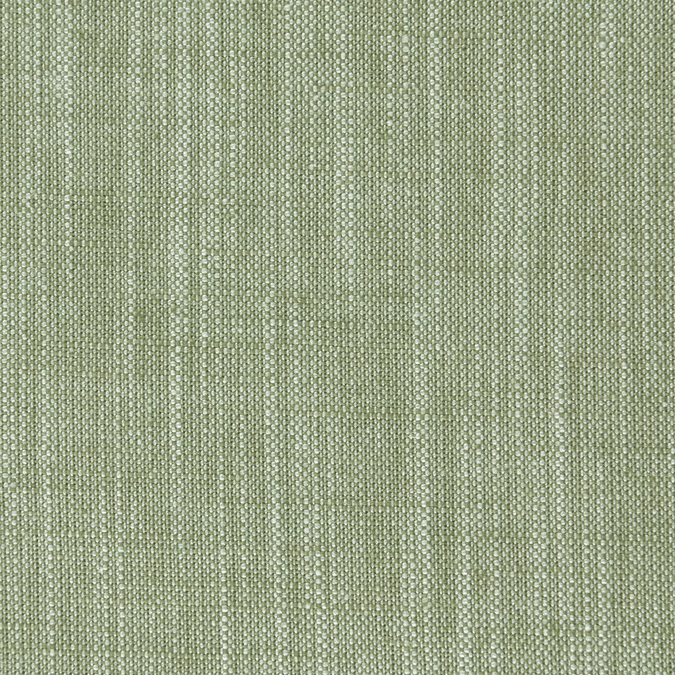 Biarritz Fabric by Clarke & Clarke - F0965/36 - Parsley