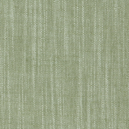 Biarritz Fabric by Clarke & Clarke - F0965/36 - Parsley