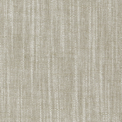 Biarritz Fabric by Clarke & Clarke - F0965/37 - Putty