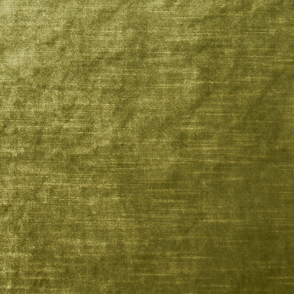 Allure Fabric by Clarke & Clarke - F1069/27 - Moss