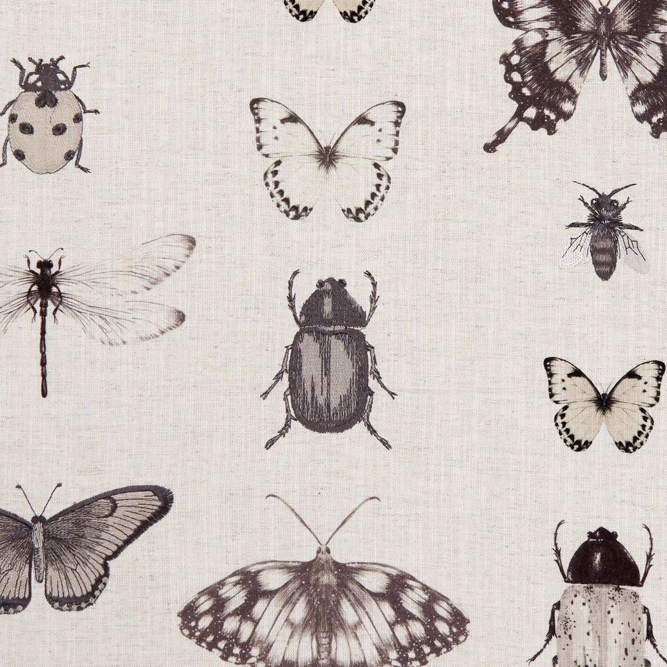 Papilio Fabric by Clarke & Clarke