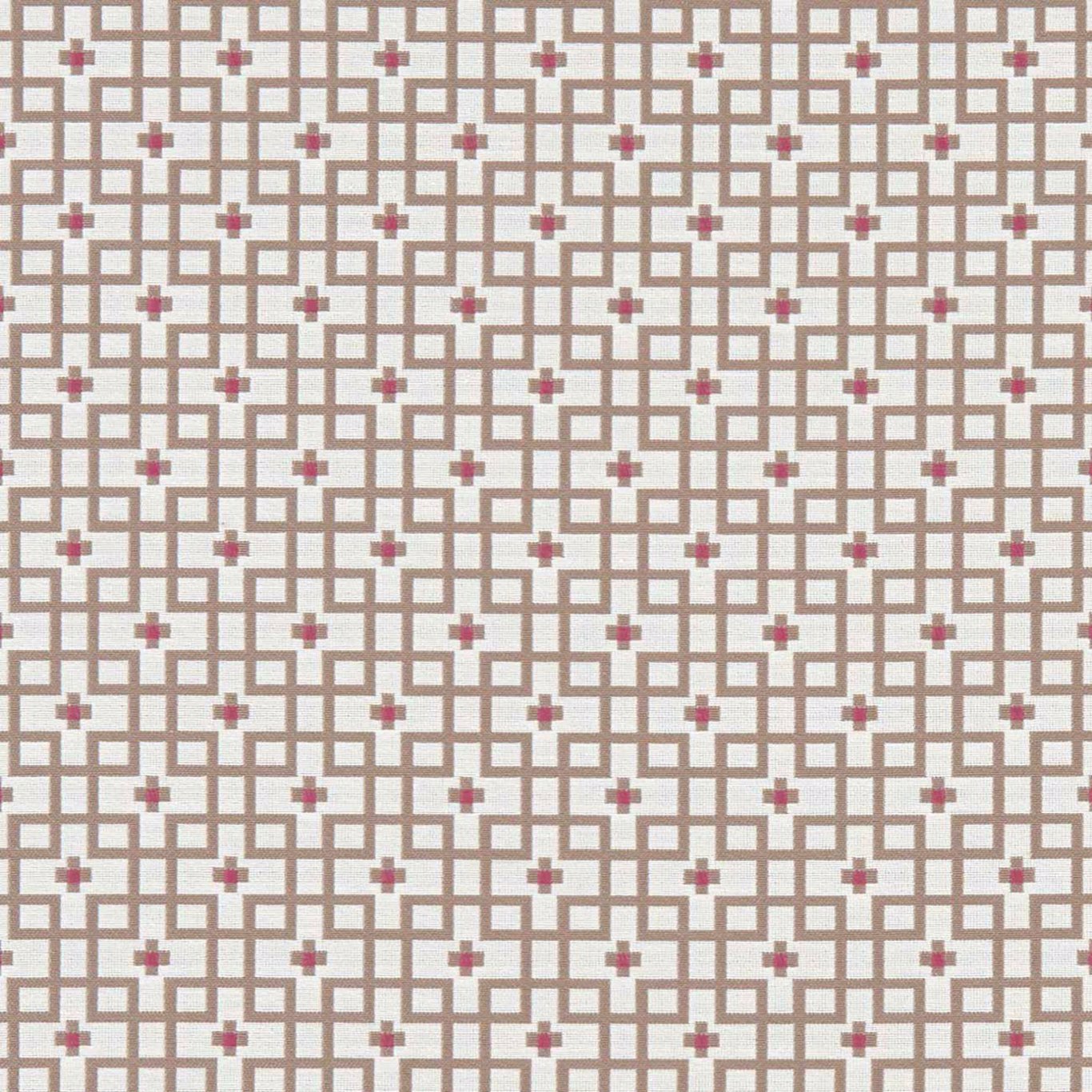 Axis Fabric by Clarke & Clarke - F1126/05 - Raspberry