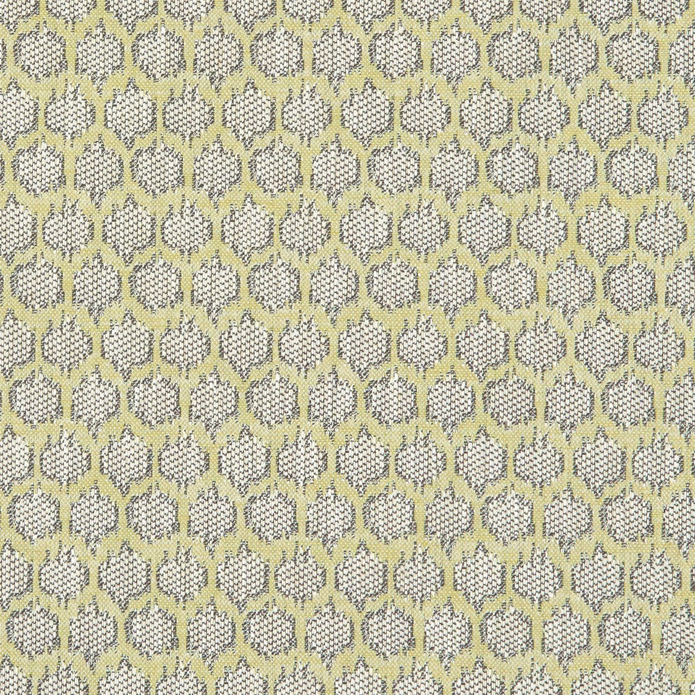 Dorset Fabric by Clarke & Clarke - F1178/03 - Citron