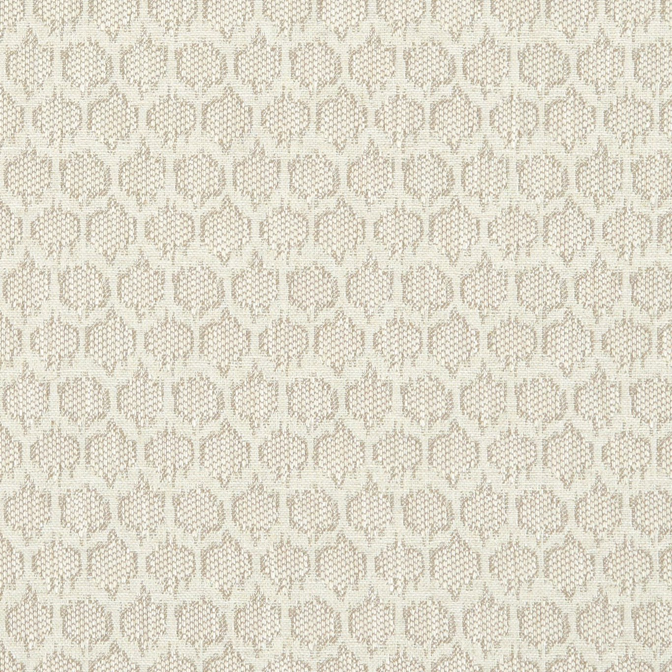 Dorset Fabric by Clarke & Clarke - F1178/06 - Linen